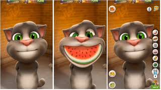 Tommy cat and friends funny talkingtom talkingtomfunny talkingtom [upl. by Aihsad]