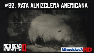 Localización Rata Almizclera Americana  82 Compendio Animales  Red dead redemption 2 [upl. by Farr895]