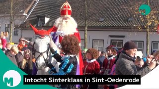 Sinterklaas en zijn Pieten krijgen een warm welkom in SintOedenrode I Omroep Meierij [upl. by Nova]