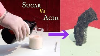 What happens when SUGAR and ACID reacts  Sugar Snake 🐍 Cool Experiment [upl. by Mauralia337]