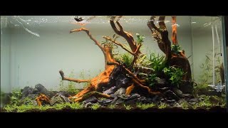 AQUASCAPE TUTORIAL STEP BY STEP ADA 90P  quotdream come truequot  Nature Aquarium [upl. by Ysor]