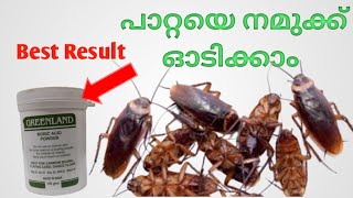 How to kill cockroaches with Boric acid powder MalayalamGeos Family Vlogs  13 [upl. by Alphonsa]