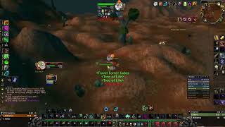 WOW SOD resto PVP What REALLY happened on that one night in Kargath [upl. by Albers591]