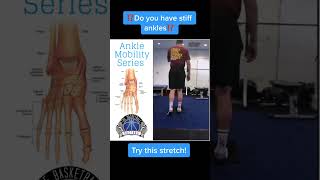 Improve your ankle mobility with this exercise [upl. by Anerehs885]