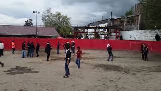 Portales Fiestas de Quito 2016 [upl. by Neenad]