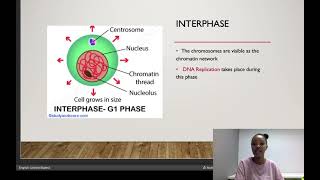 Mitosis grade 10 [upl. by Iadrahc]