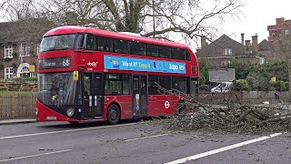 Storm Eunice chaos in London [upl. by Allenrac]