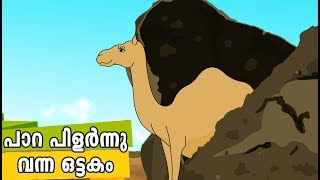 പാറ പിളർന്നു വന്ന ഒട്ടകം Quran Stories Malayalam  Prophet Stories Malayalam  Use of education [upl. by Tomkin]