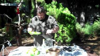 Making Limoncello Part 1 [upl. by Cordova420]