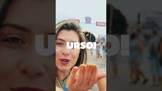 Bloco do Urso 25 anos  Final [upl. by Clio]