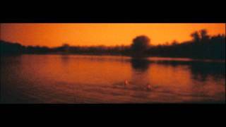 Redscaled River  LomoKino [upl. by Yarised]