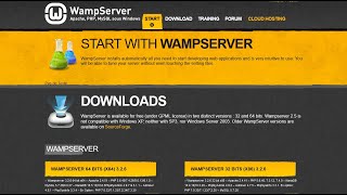 How to install wamp server on windows 11  wamp Installation 2022  wamp 64 bit Latest Version [upl. by Maclean]