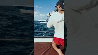 Dolphin watch  Flic en Flac Mauritius [upl. by Cand]