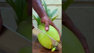 Green coconut beverage coconut cuttingskills coconutcutting [upl. by Aneerol]