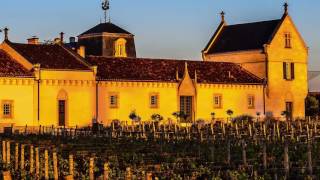 Château La Mission HautBrion Direct From The Cellars [upl. by Torrance]