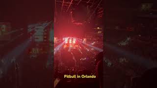 Pitbull Concert in Orlando FL pitbull concert orlandomusic shorts shortvideo [upl. by Adav]