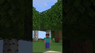 Poi poi shorts viral minecraft memes trending edit song [upl. by Kcirddot]