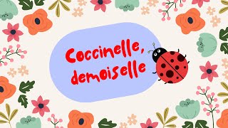 Coccinelle demoiselle [upl. by Leid]