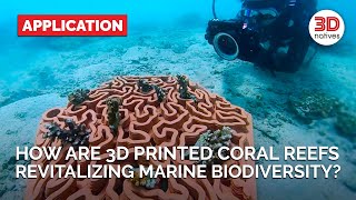 The 5 3D Printed Corals That Are Saving Marine Ecosystems  Applications  3Dnatives [upl. by Nile]