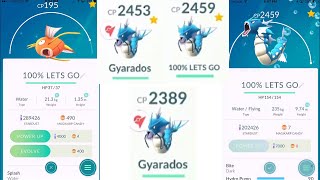 100 Perfect IV Individual Value 195 CP Magikarp EVOLVED To Gyarados Pokemon GO [upl. by Will]