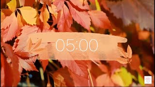 Five minute fall 🍂 timer including wind and bird noise in the background [upl. by Assenat]