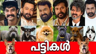 🐩🤯ഞെട്ടിപ്പോകും🙆‍♀️ നടന്മാരുടെ കോടികളുടെ പട്ടികളെ കണ്ടാൽ 🤯 💰TOP 10 LUXURY DOGS of Malayalam Actors🐩🤯 [upl. by Narib]