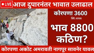 🔴मोठी बातमी कापूस भाव यंदा उत्पादन कमी भाव वाढणार भाव 8800cottonrates2024 कापुसबाजारभाव 👍 [upl. by Arias]