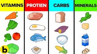 How The Six Basic Nutrients Affect Your Body [upl. by Debbra]