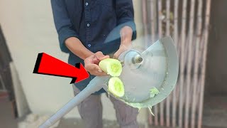 Vegetable Cutting With Grass Cutter amp Slowmo Record  Electric team [upl. by Nottnerb]