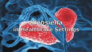 Klebsiella in Healthcare Settings [upl. by Hultin]