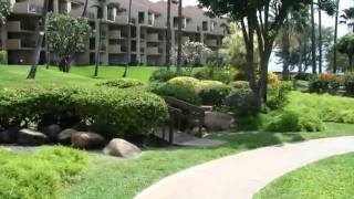 Kamaole Sands Condo Walk to Beach [upl. by Eilyk]