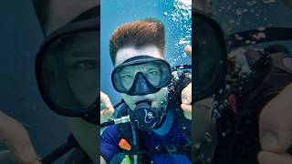 First Time Diving Pemuteran 🇮🇩 [upl. by Nyrat]