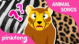 Did You See Cheetah’s Pattern  Animal Songs  Learn Animals  Pinkfong Animal Songs for Children [upl. by Nnaylime]