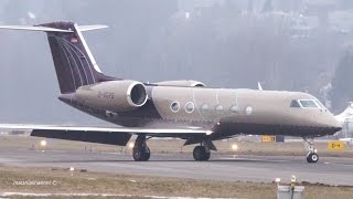 Silverbird Gulfstream G450 Landing at Bern Airport  Special Livery [upl. by Yendroc]