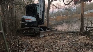 Bobcat E50 Compact Excavator with Fecon FMX36 Forestry Mulcher [upl. by Euqininod]