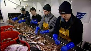 Trawlermen The Great Prawn Hunt [upl. by Noraed]