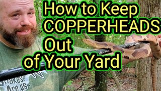 How to Keep COPPERHEADS Out of Your Yard [upl. by Manaker]