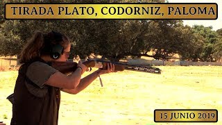 TIRADA DE PLATO  CODORNIZ Y PICHÓN 2019 HUNTING VILLANUEVA DE CÓRDOBA [upl. by Hirschfeld]