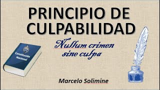 Principio de culpabilidad [upl. by Enaej]