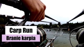 Branie Karpia Carp Run Compilation [upl. by Barbey]