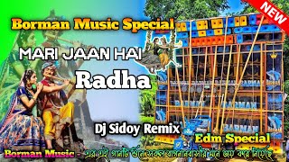 Barmon Music Special  Mari Jaan Hai Radha 🥀 New Edm Nonstop SongDj Sidoy Remix [upl. by Burrus]