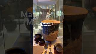 Marienberg Fortress Museum in Würzburg museum shortvideo travel discovergermany history 🌸 [upl. by Idnym]