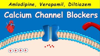 Calcium Channel Blockers  Amlodipine Verapamil Diltiazem [upl. by Aseiram137]