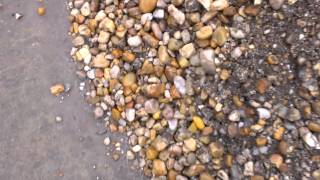 Inexpensive Landscape With River Rocks [upl. by Jimmie]