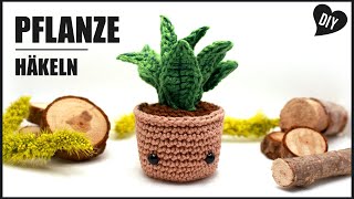 Pflanze häkeln  Zimmerpflanze Amigurumi Topfpflanze  DIY by Pfirsichteufel [upl. by Nodnarb]