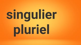 شرح مبسط بالدارجة المغربية singulier  pluriel صندوق الوصف👇👇👇 [upl. by Stav]