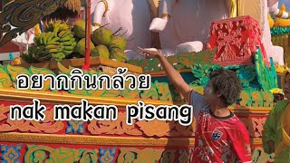 อยากกินกล้วย nak makan pisang [upl. by Itsyrc]