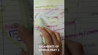 LIGAMENTS OF UTERUS PART 2 [upl. by Feeney]