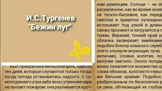 ИС Тургенев quotБежин лугquot Ч1 Аудиокнига с текстом [upl. by Adlen]