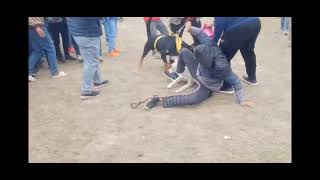 Rottweiler attack Siberian Husky Fight  Dog Show [upl. by Ettenor673]